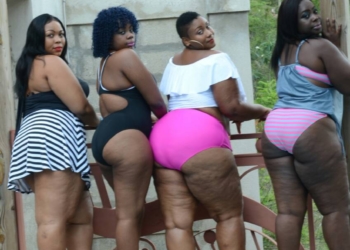 Big Size Agency, pour mettre les rondes à la mode