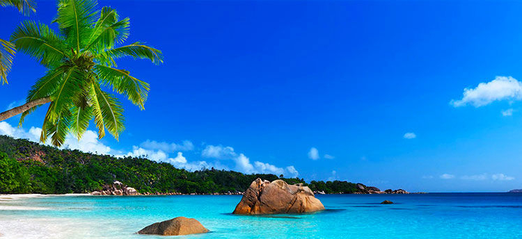 Standardisation des services dans l’hôtellerie et la restauration: Haïti doit se mettre au diapason