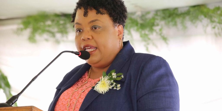 Des Consignes sanitaires sont de mises pour cette période rappelle le MSPP