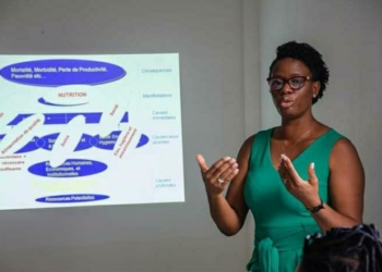 L’Association Quatre Chemins, pour une formation à l’intention des artistes