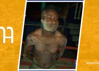 PNH : Tibòkò, un présumé bandit arrêté à Grande-Rivière du Nord