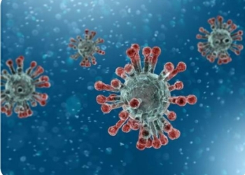 Haïti/Covid-19 : 5 décès et 130 cas de contamination enregistrés, selon le MSPP