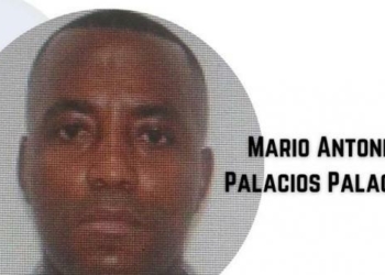 Assassinat de Jovenel Moïse : le Colombien, Mario Palacios arrêté en Jamaïque   