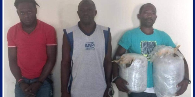3 individus arrêtés en flagrant délit pour trafic de drogue