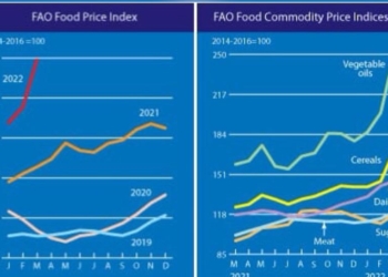 Forte hausse des prix des produits alimentaires dans le monde selon FAO