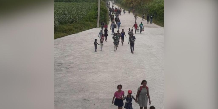 Haïti-Insécurité : la guerre entre les gangs 400 Mawozo et Chen Mechan se poursuit en Plaine