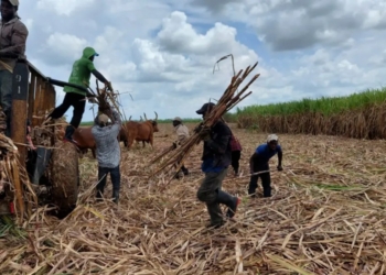 Les Etats-Unis interdisent l’entrée sur leur territoire du sucre produit par central Romana de la RD