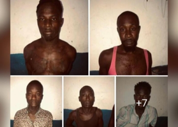 Arrestation de 6 présumés bandits dont le chef de gang Ti Daniel à Marigot