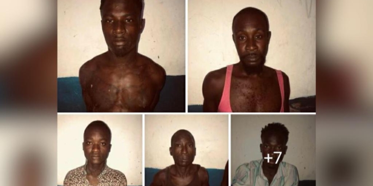 Arrestation de 6 présumés bandits dont le chef de gang Ti Daniel à Marigot