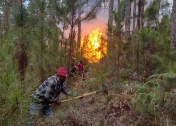 Dife ki te nan Pik Makaya ak forèdèpen an etèn selon minis anviwonman an