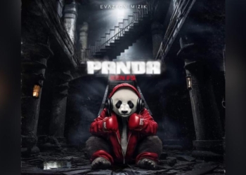 Le double album de KenFs “Panda” enfin disponible
