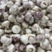 Garlic Becomes More Pungent When Grated, Find Out Why